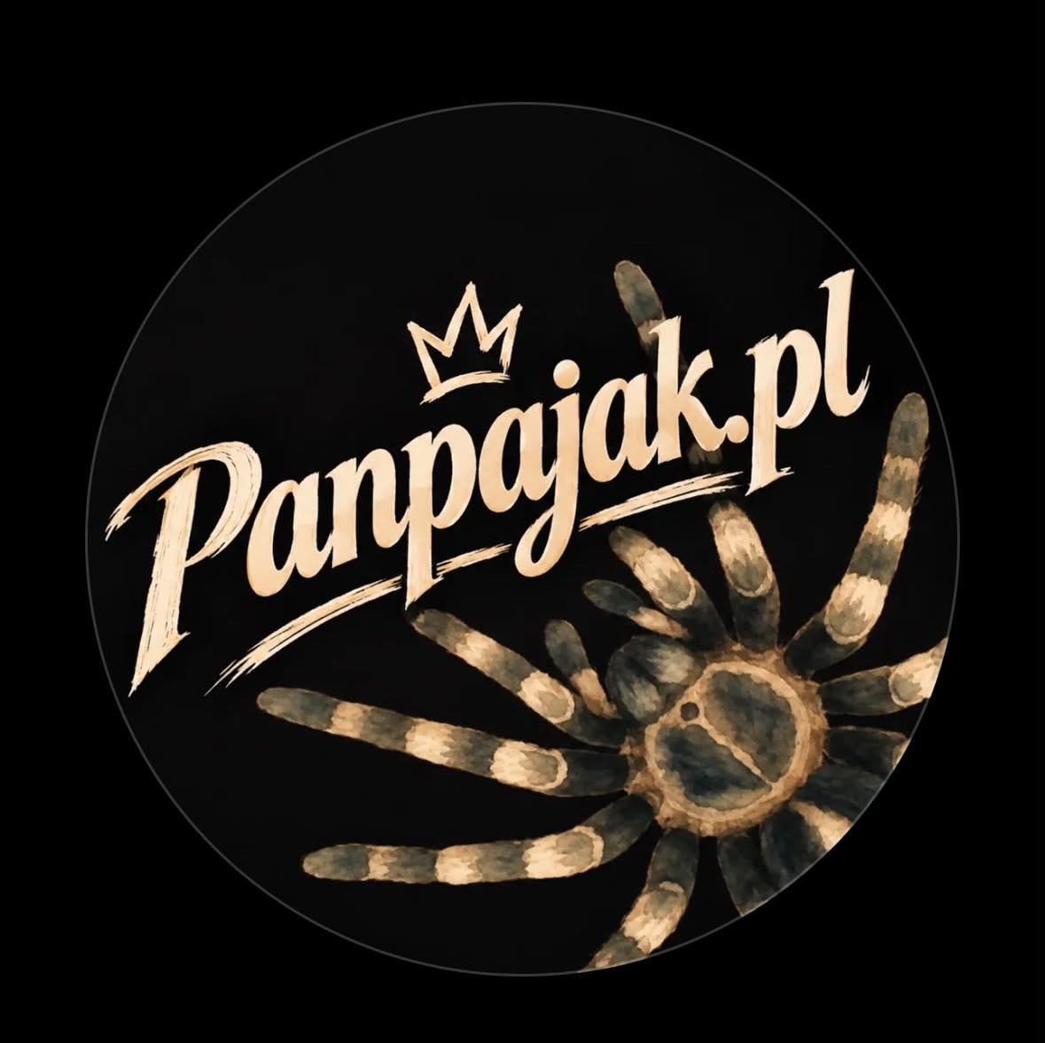 panpajak.pl